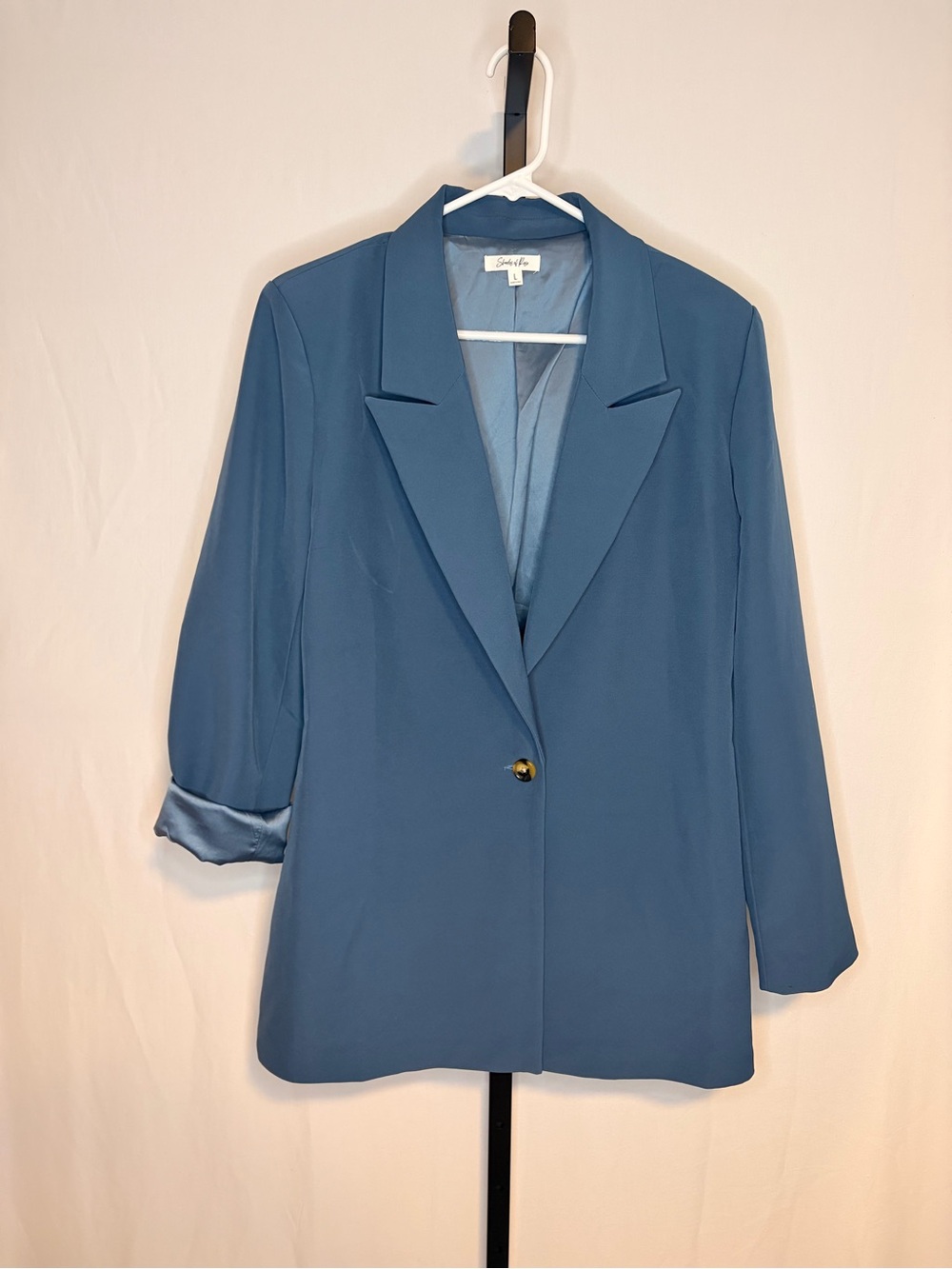 Shades of Rose Blue Blazer
